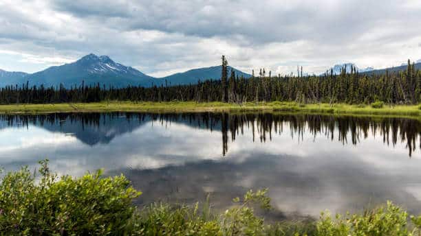 Top 15 World's Largest National Parks You Won't Believe Exist 17 Wrangell–St. Elias National Park and Preserve