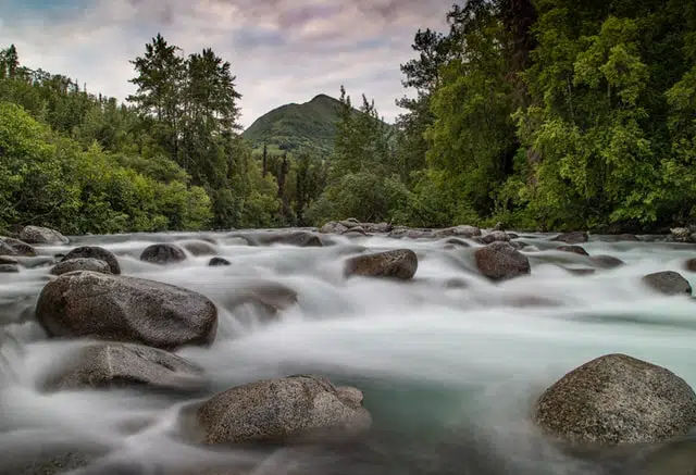 biomass, clean water