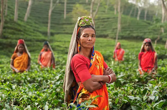 13 Best Environmental Organizations in India 9 environmental organizations, India