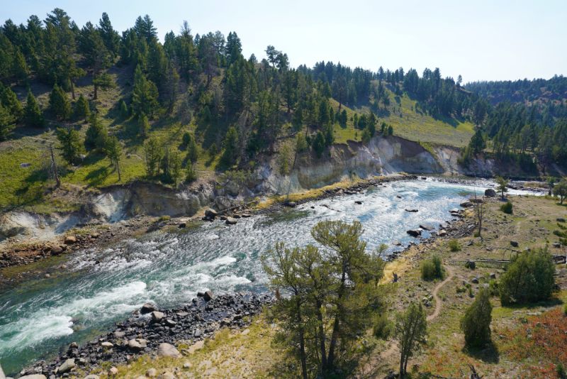 green-trees-near-the-river