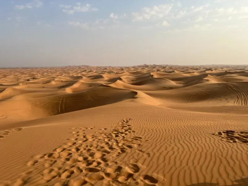 sand-dunes-in-the-desert