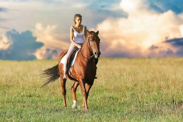 woman riding a horse