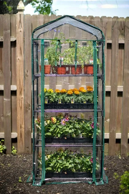 10 Best Mini Greenhouses | Portable Options to Buy 2 Gardman Mini Greenhouse