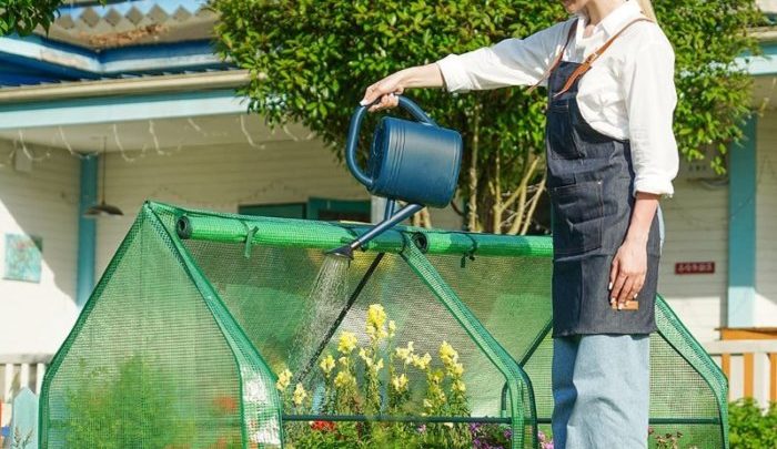 Quictent Portable Greenhouse