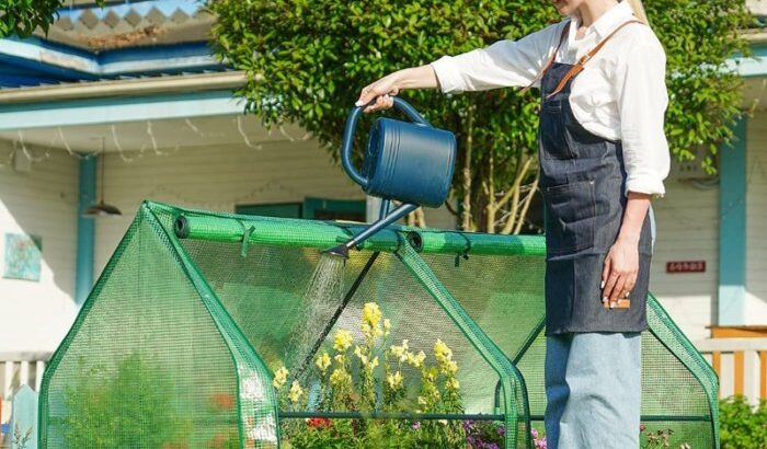 10 Best Mini Greenhouses | Portable Options to Buy 1 10 Best Mini Greenhouses | Portable Options to Buy