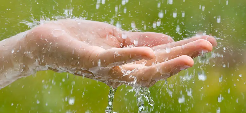 Is Rainwater Harvesting Worth It? Learn The Pros and Cons 10 Rain drops