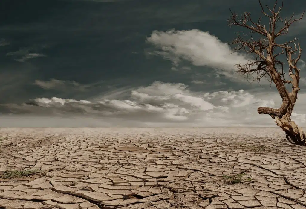 Is Dry Ice Bad for the Environment? 10 climate change is fake