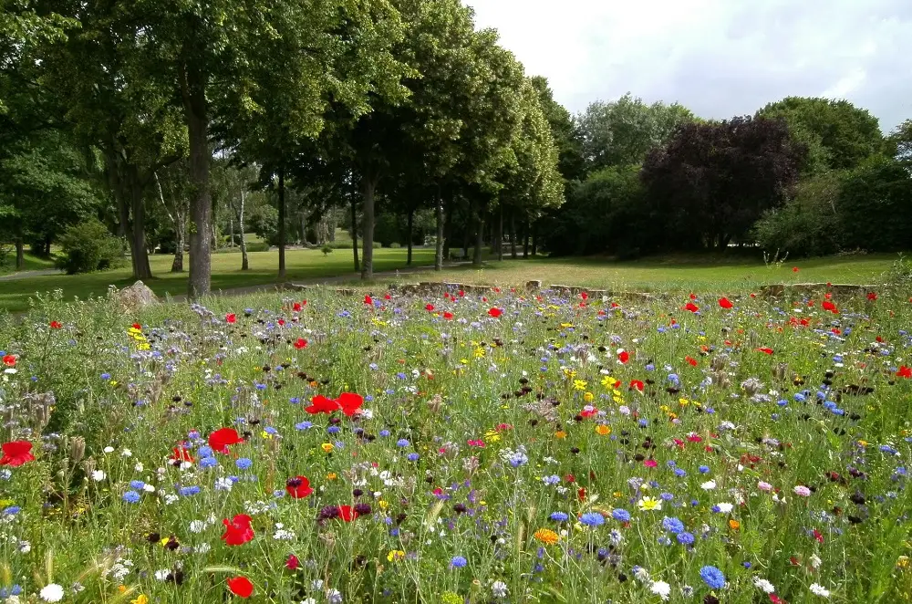 15 Green Revolution Pros and Cons to Know 7 Adverse Effects on The Environment