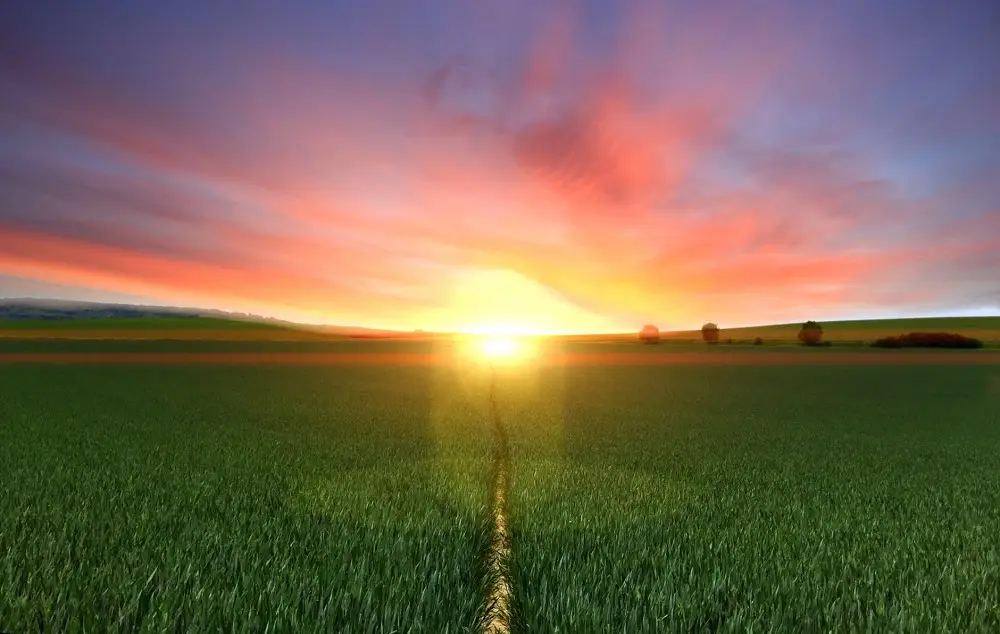 15 Green Revolution Pros and Cons to Know 1 What is The Green Revolution In Agriculture