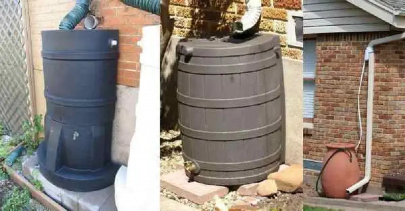 Rain Barrels