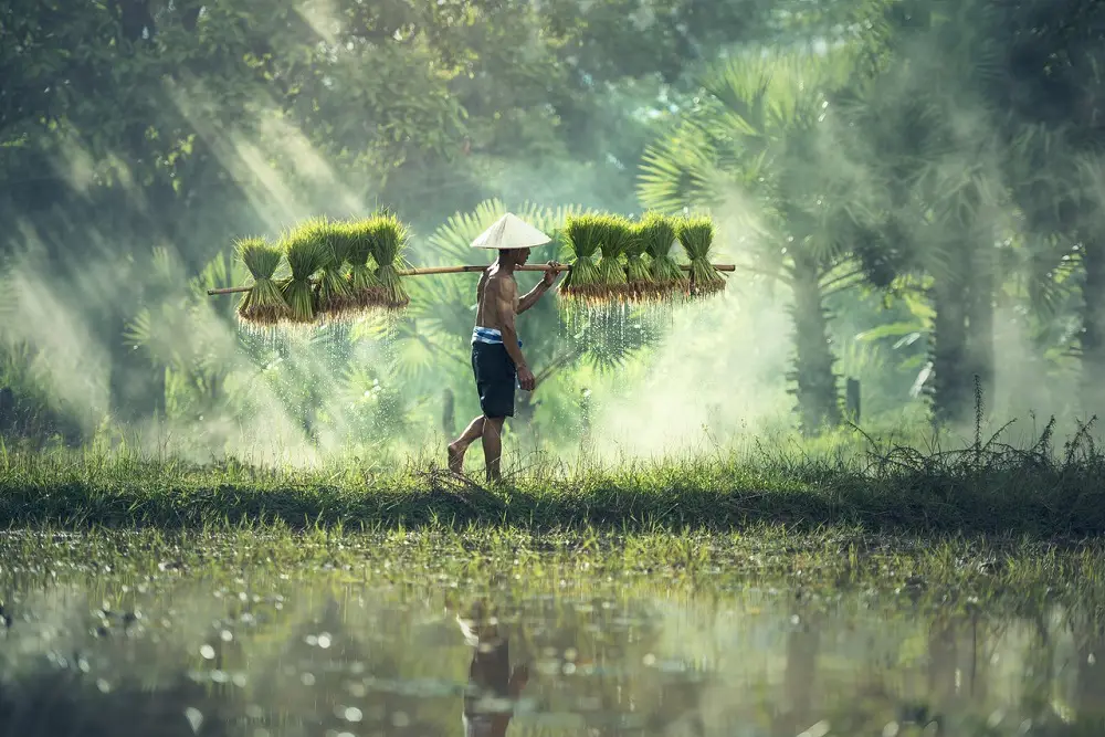 7 Reasons Why is Biodiversity Important to Ecosystems 8 Biodiversity culture