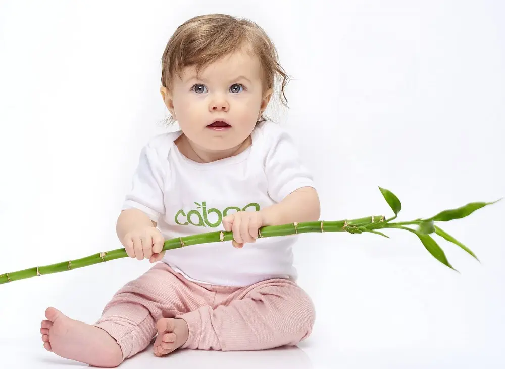 Conservation vs Preservation: The Differences 8 Caboo Tree Free Bamboo Paper Towels