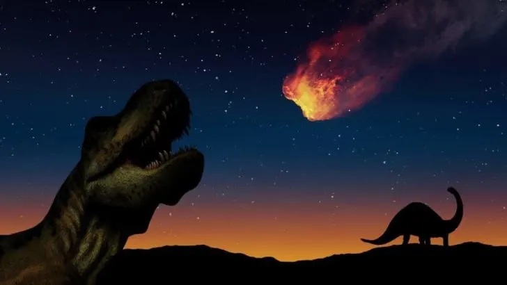 Causes of extinction
