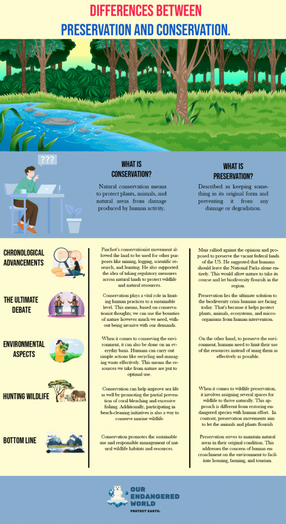 Conservation vs Preservation The Differences