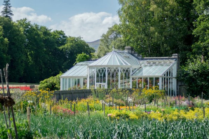 Glass Greenhouse Sceneries