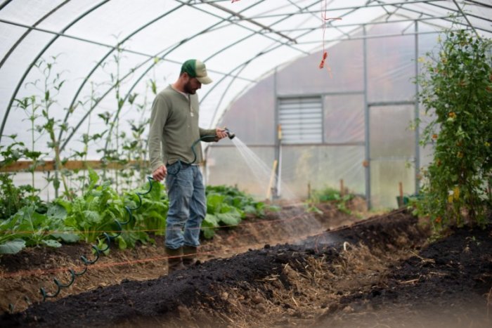 Man Gardening in a Greenhouse