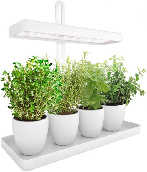 GrowLED LED Indoor Herb Garden