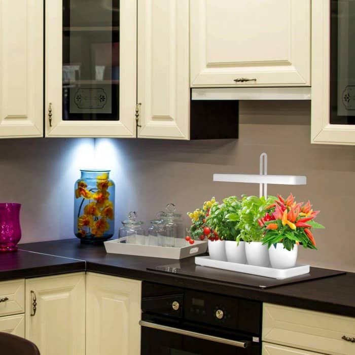 Kitchen cabinet with led lights