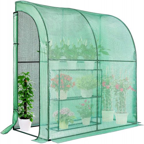 Lean-to Greenhouse