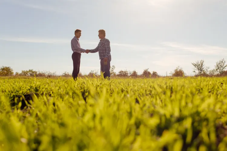 Male farm owner and agronomist standing in middle of green grassy field and discussing professional issues