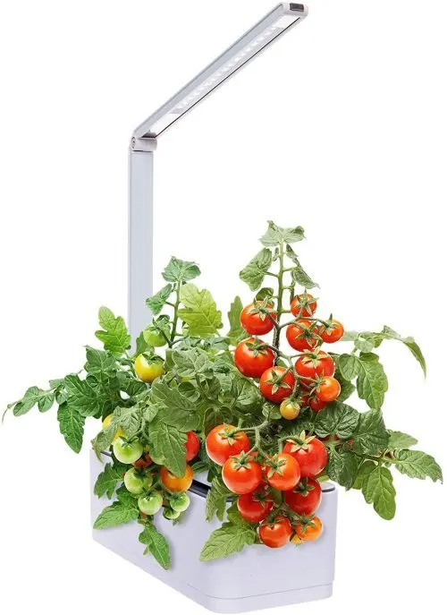 Mindful Design Hydroponic Indoor Herb Garden Kit