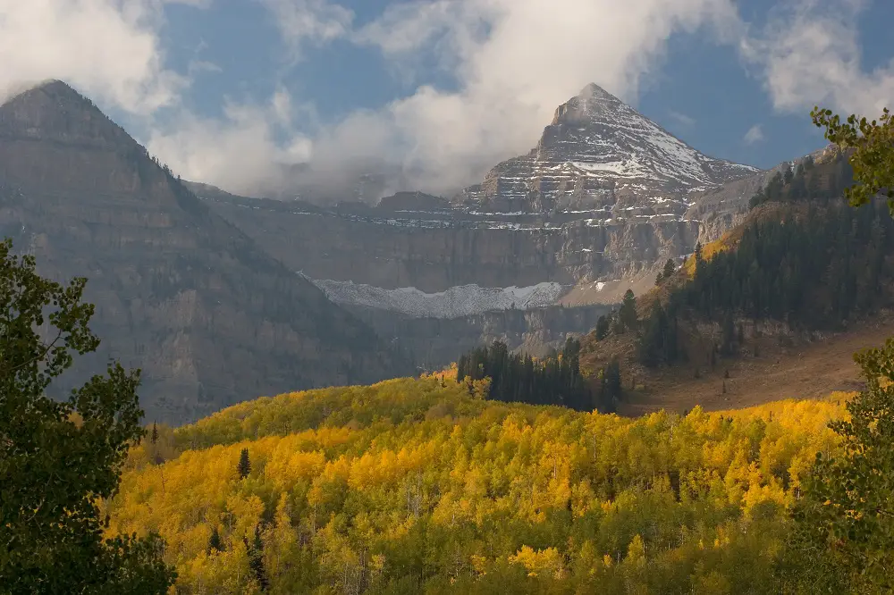 Conservation vs Preservation: The Differences 4 National Forest