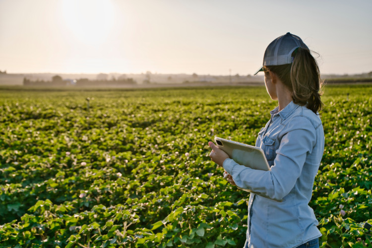 Smart farmer woman agronomist checks the field with tablet