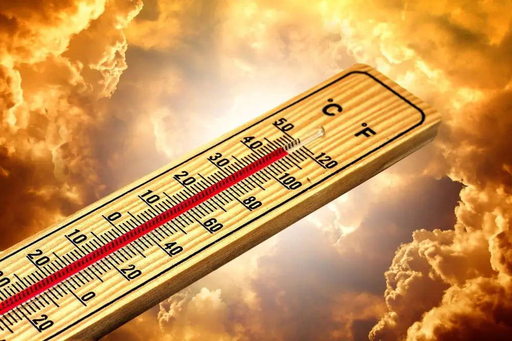 9 Causes of Extinction You Should Know About 2 Thermometer measuring climate change