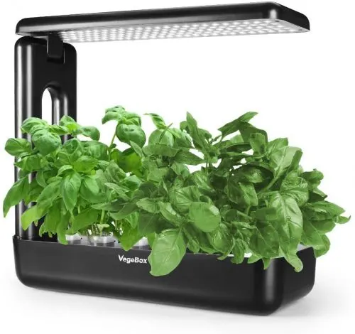 VegeBox 22w hydroponics greenhouse