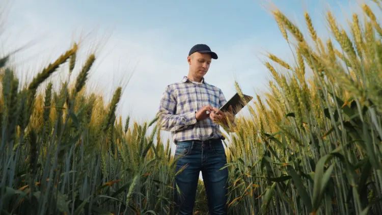 9 Important Farming Skills You Need to Know 2 Young farmer works with a digital tablet in a wheat field