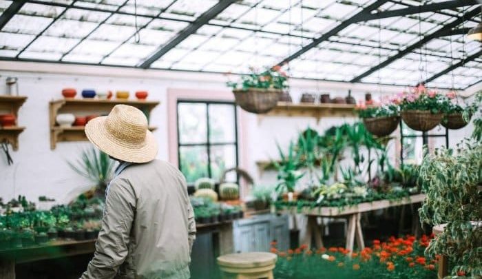 indoor greenhouse with lights