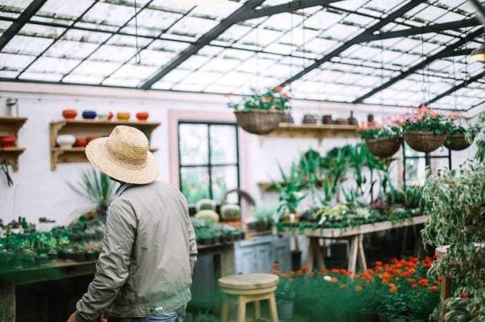 11 Best Indoor Greenhouse with Lights | Kits to Buy