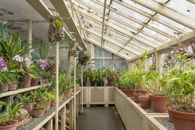 greenhouse greenhouse size