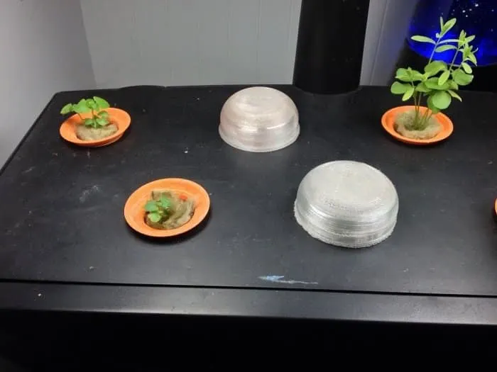 7 Best AeroGarden Pods | Cheap and Reliable Options 1 Best AeroGarden Seeds