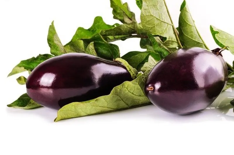 Eggplants