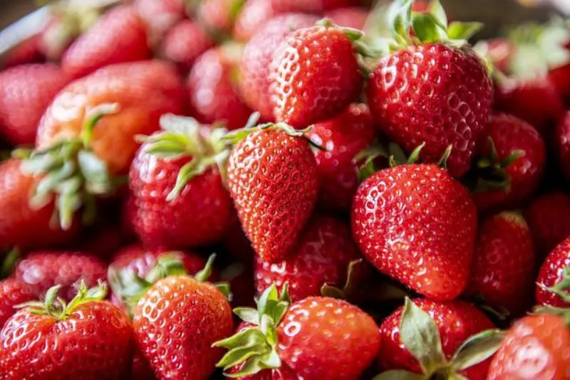 Strawberries