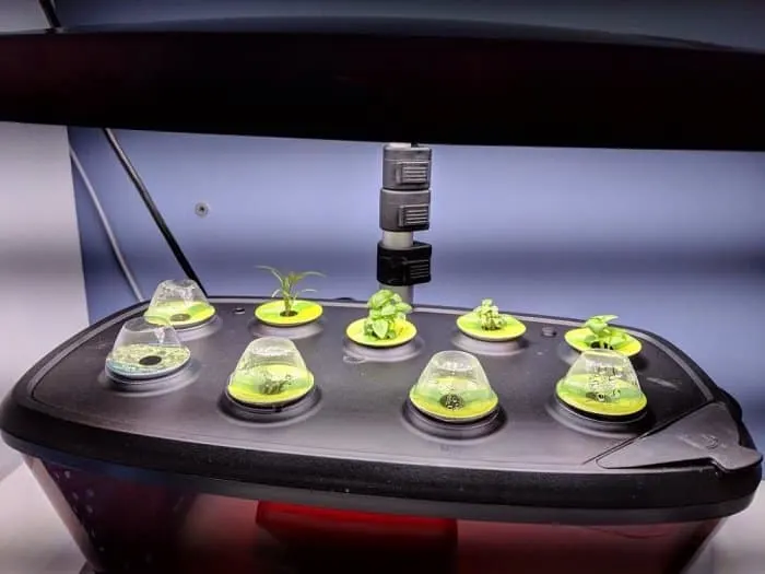 7 Best Things to Grow in AeroGarden 15 best things to grow in aerogarden