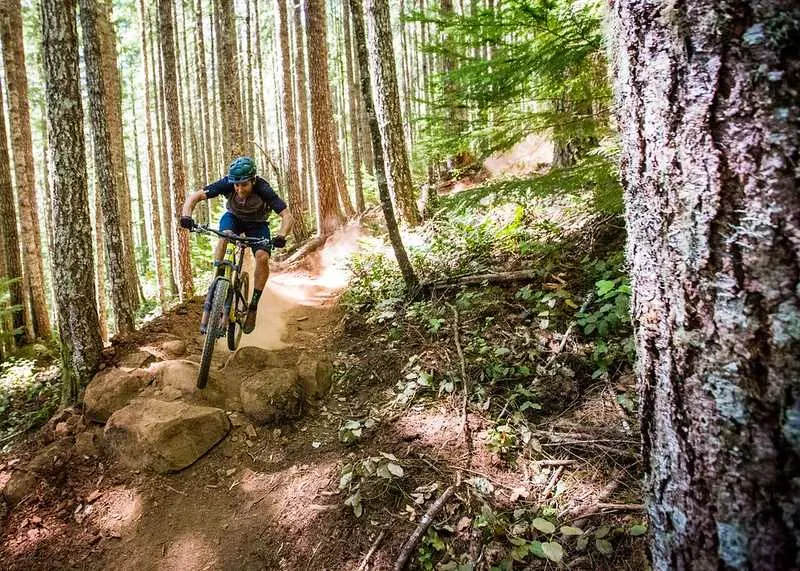 a guy on a bike trail in the woods