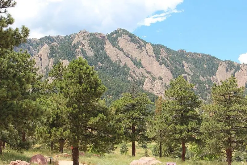 A view of the mountain with green trees