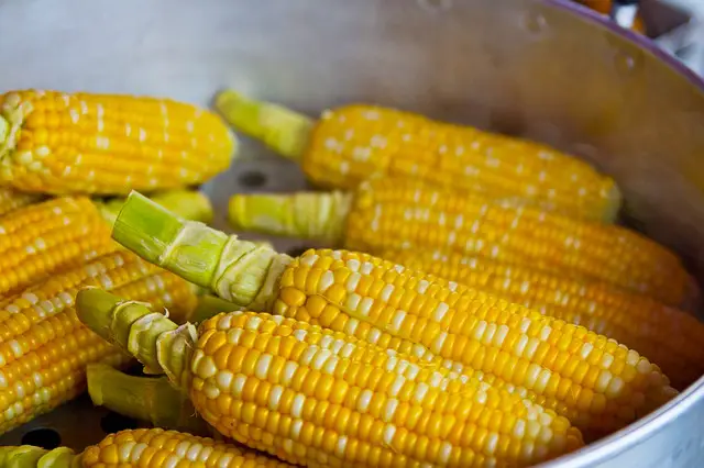 Organic vs Natural Foods: What’s the Difference? 2 100 natural vs 100 organic