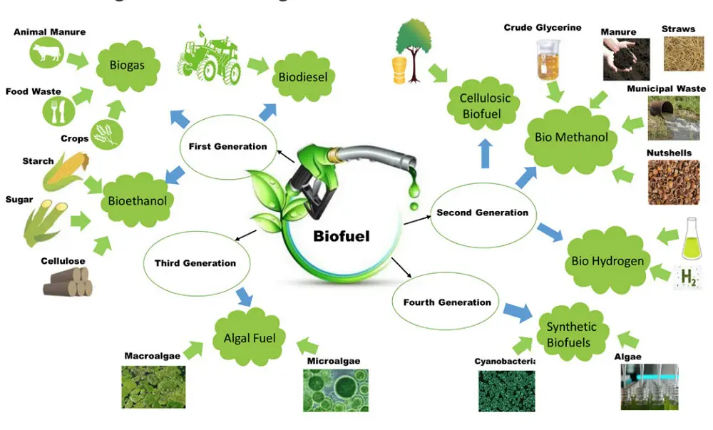 pros and cons of using the biotechnology