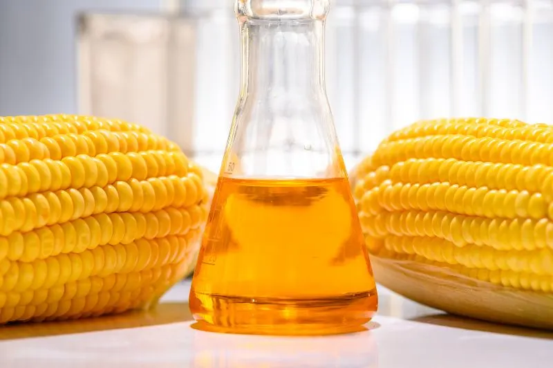 16 Important Pros and Cons of Biofuels to Know 2 Biofuels Sample from Corn