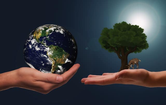 How to be an Environmental Activist