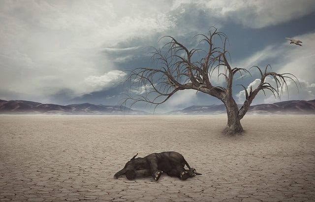 save animals facing extinction