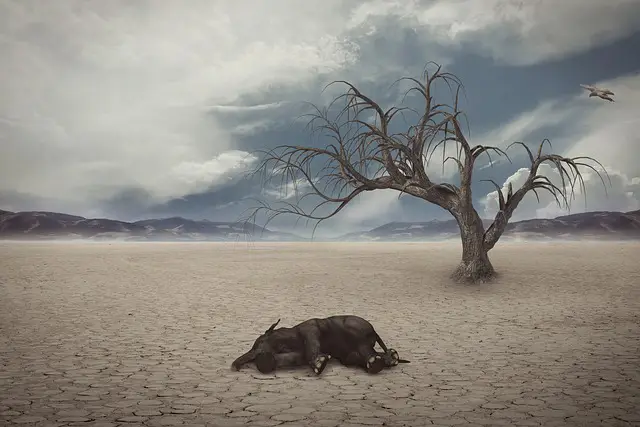 How Do Animals Adapt To Their Environment? 8 save animals facing extinction