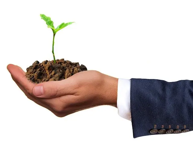 How To Be An Environmentalist (Start Today) 6 planting trees