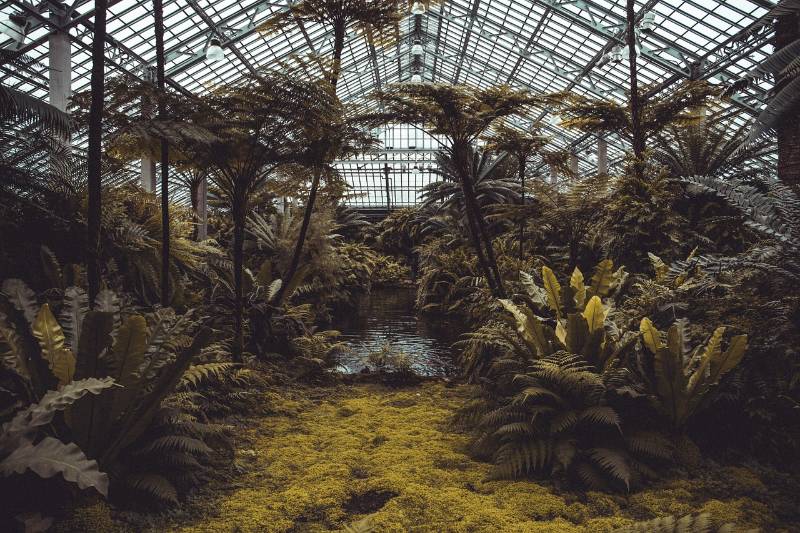 Inside of a greenhouse