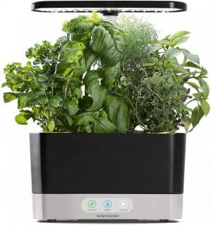 AeroGarden Black Harvest Indoor Hydroponic Garden