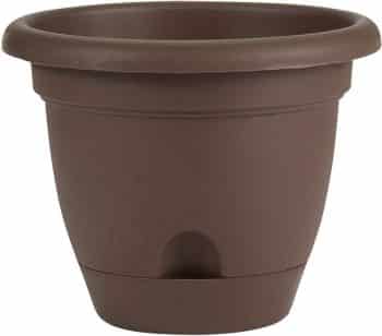 Bloem Terra Pot Planter