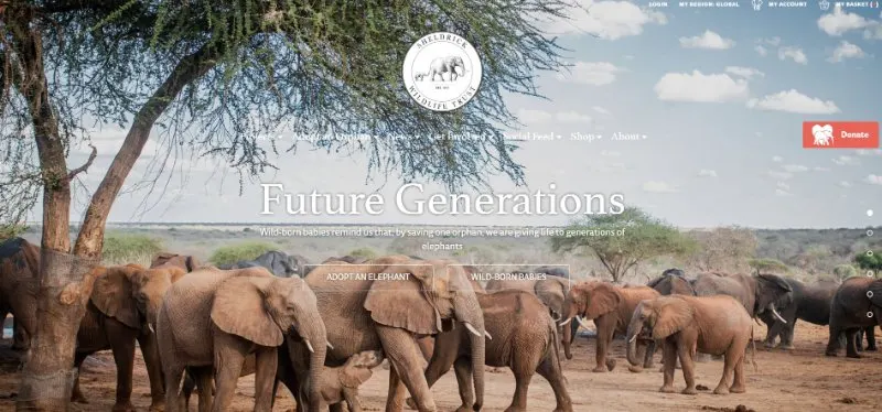 David Sheldrick Wildlife Trust 1 David Sheldrick Wildlife Trust Homepage